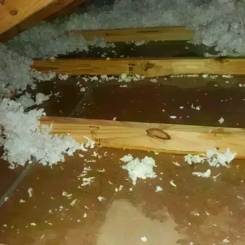 Attic Water Damage in Rapid Valley, SD