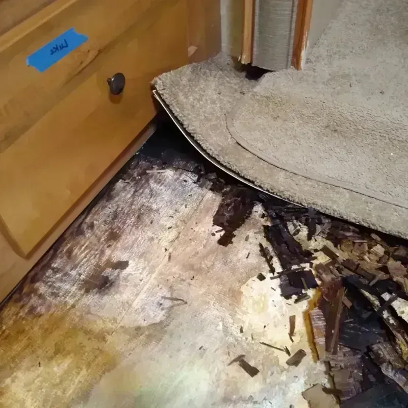 Wood Floor Water Damage in Rapid Valley, SD